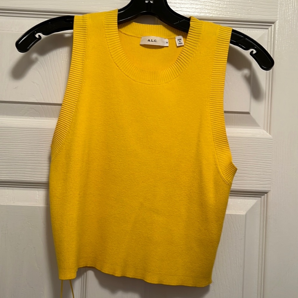 ALC Crop Top